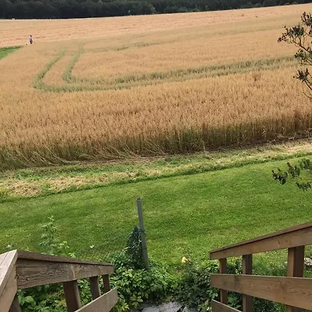 Penthouse Mosel Huntress Apartment Gornhausen