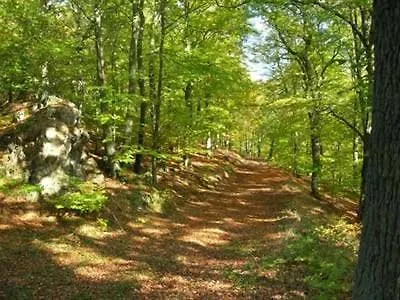 Penthouse Mosel Huntress Lägenhet