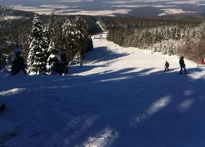 Penthouse Mosel Huntress Lägenhet Gornhausen