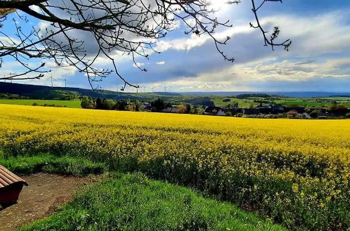 Lägenhet Penthouse Mosel Huntress Gornhausen